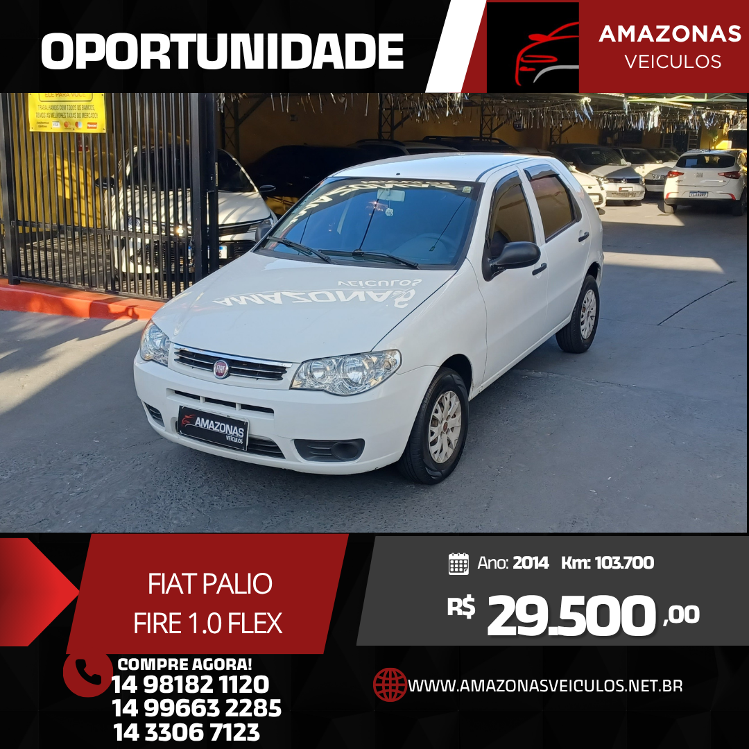 PALIO FIRE 1.0 2014 FLEX